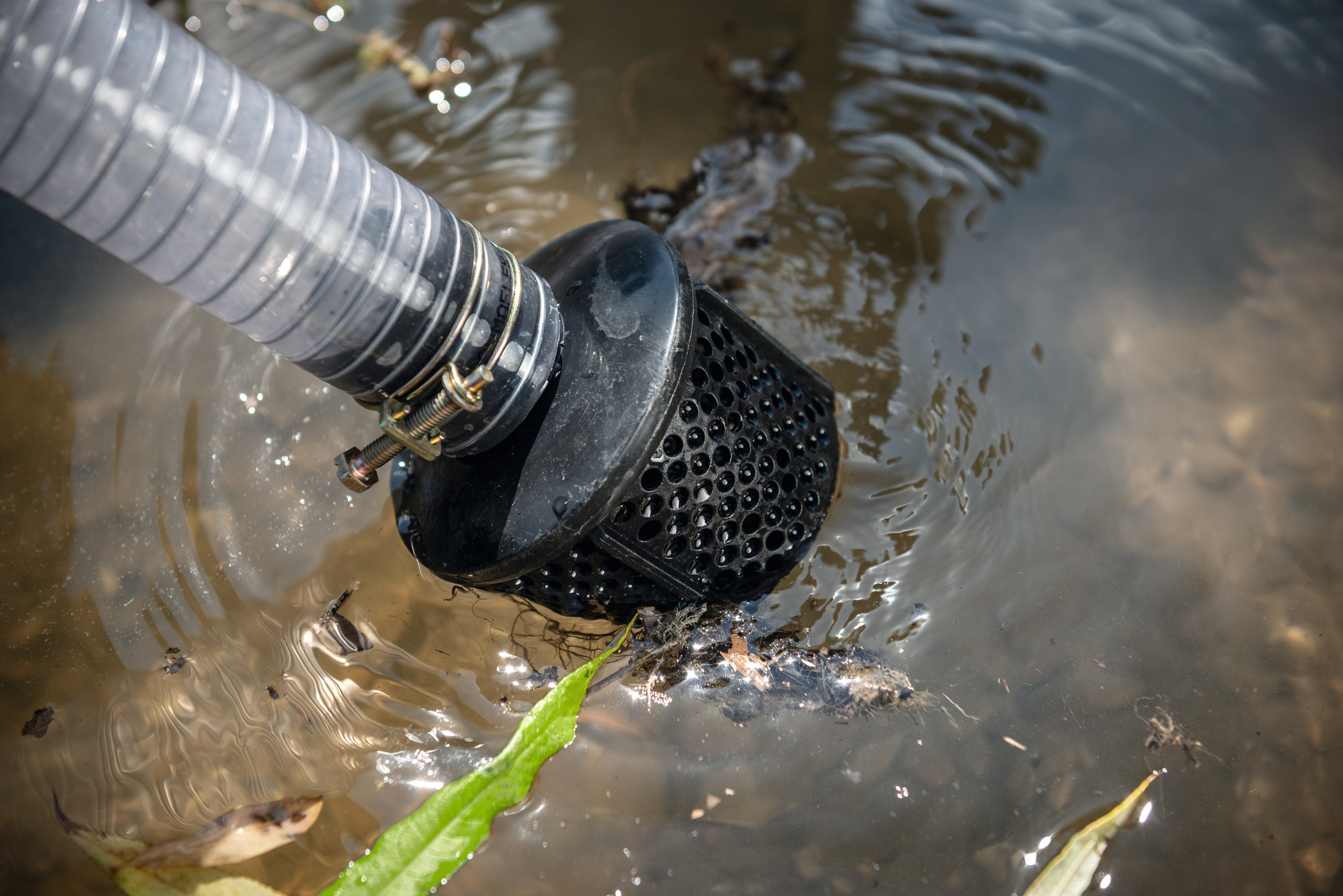 WP 230 Water pump
