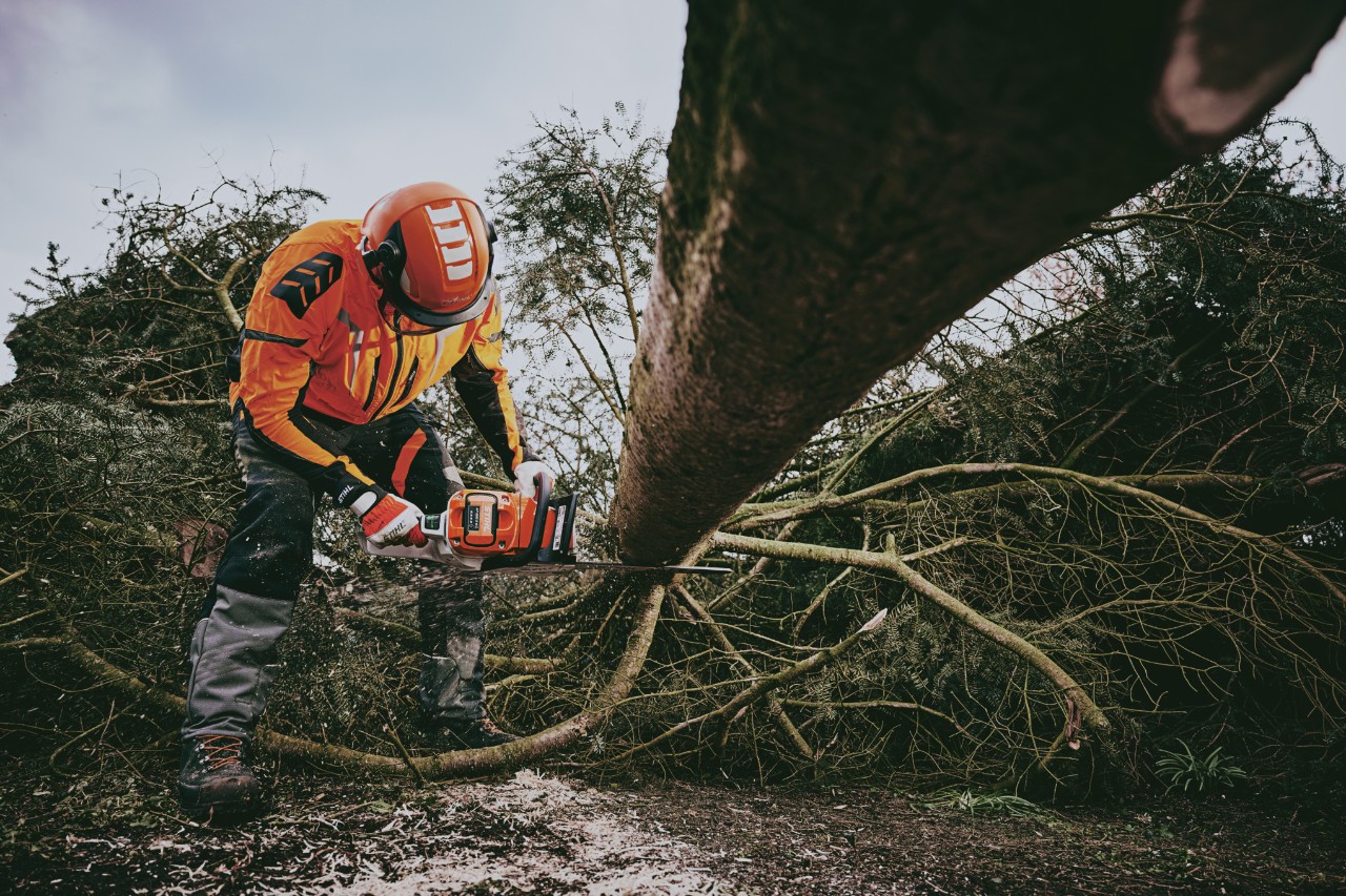Forestry worker wearing forestry PPE and cut protection class 1, pruning a tree trunk with the STIHL MSA 300 battery chainsaw