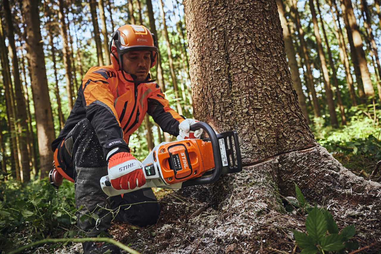  A man wearing protective equipment sawing a tree with a chainsaw