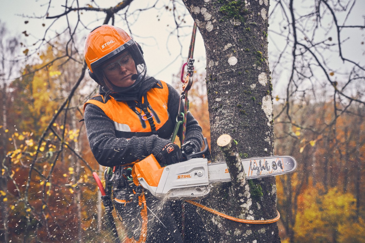 Arborist Viktoria Carstens hanging from a tree with a safety rope