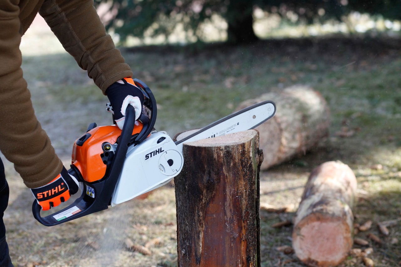 A STIHL MS 181 petrol chainsaw being used to make a vertical cut in an upright log