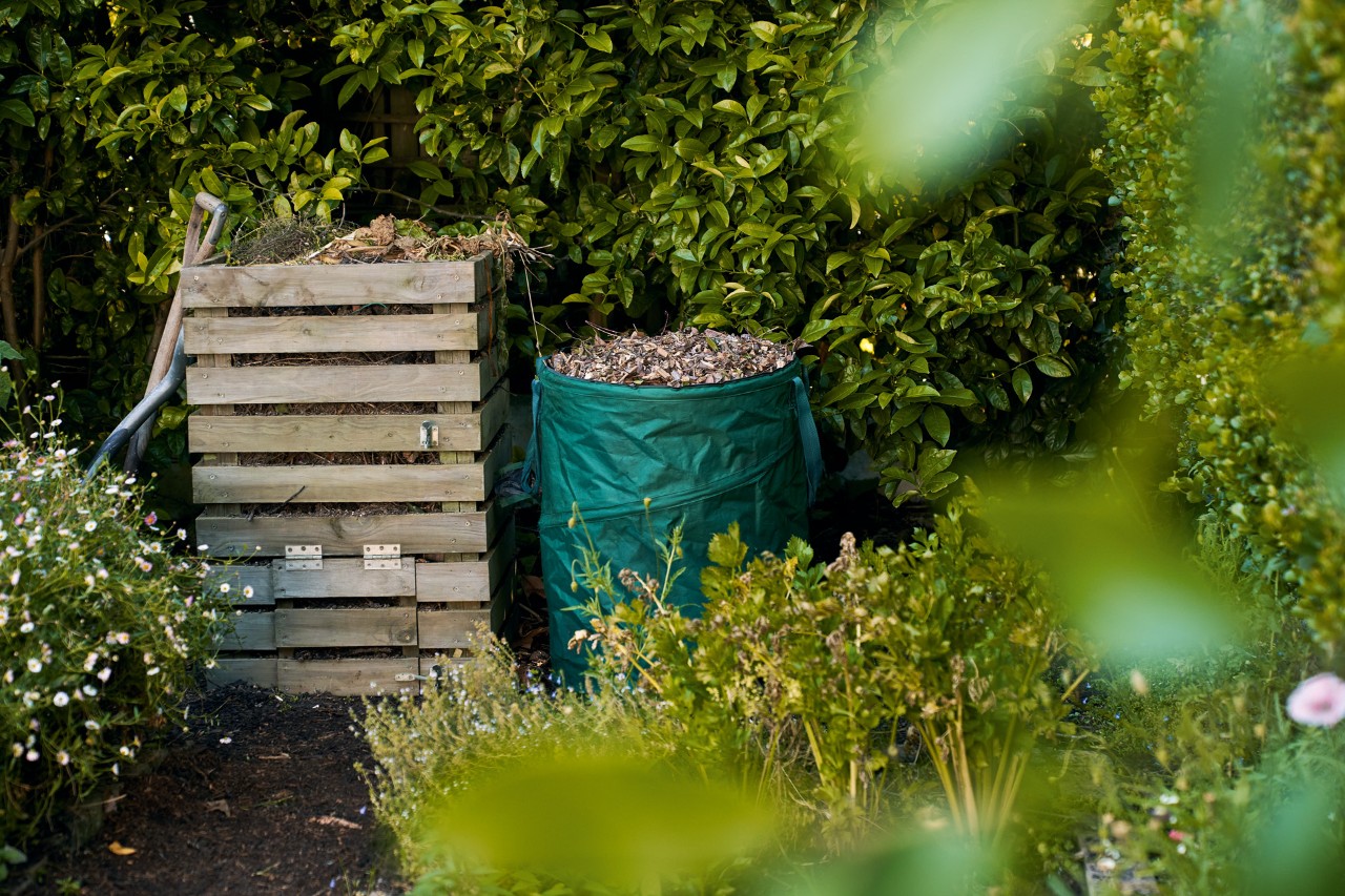 A wooden compost bin with a full bag of leaves beside it