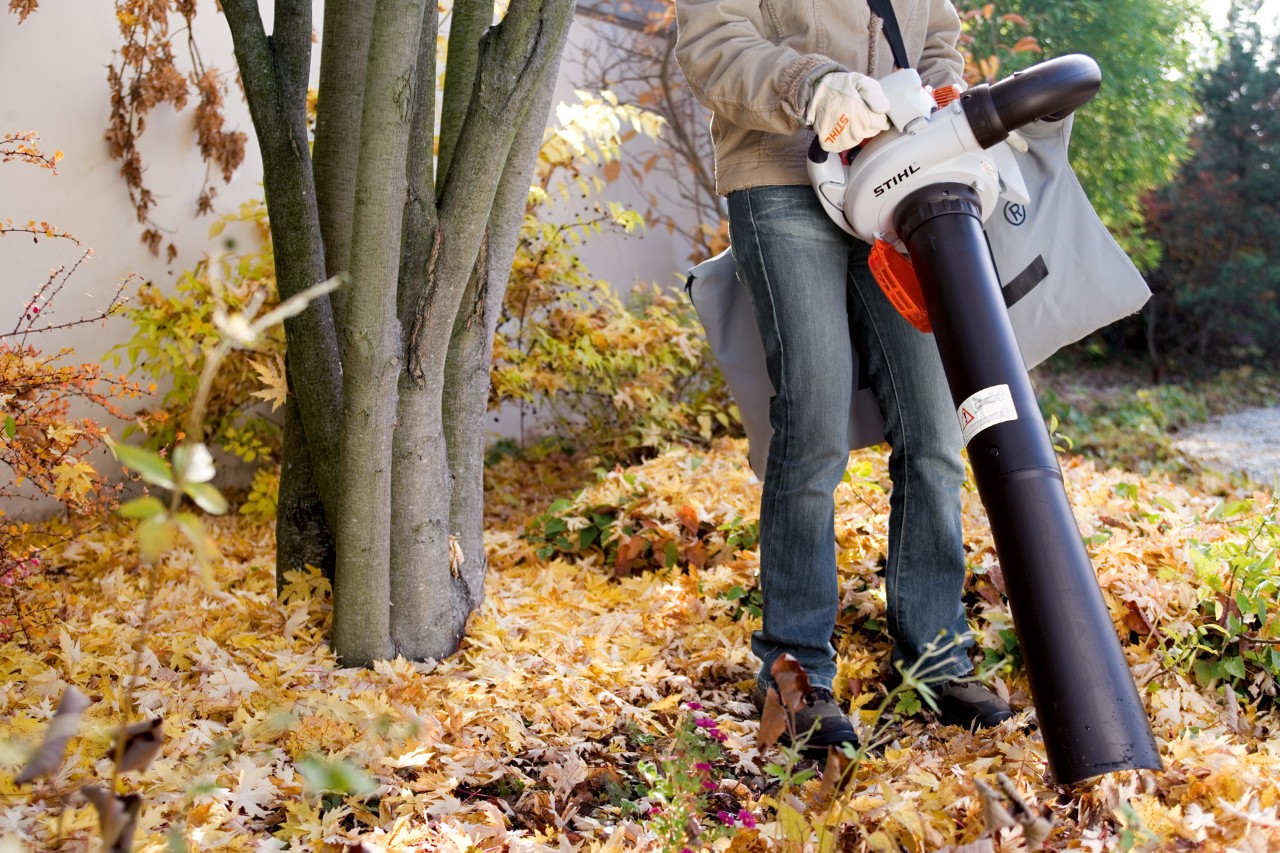 A STIHL SH 56 leaf vacuum shredder being used to vacuum up leaves next to a tree