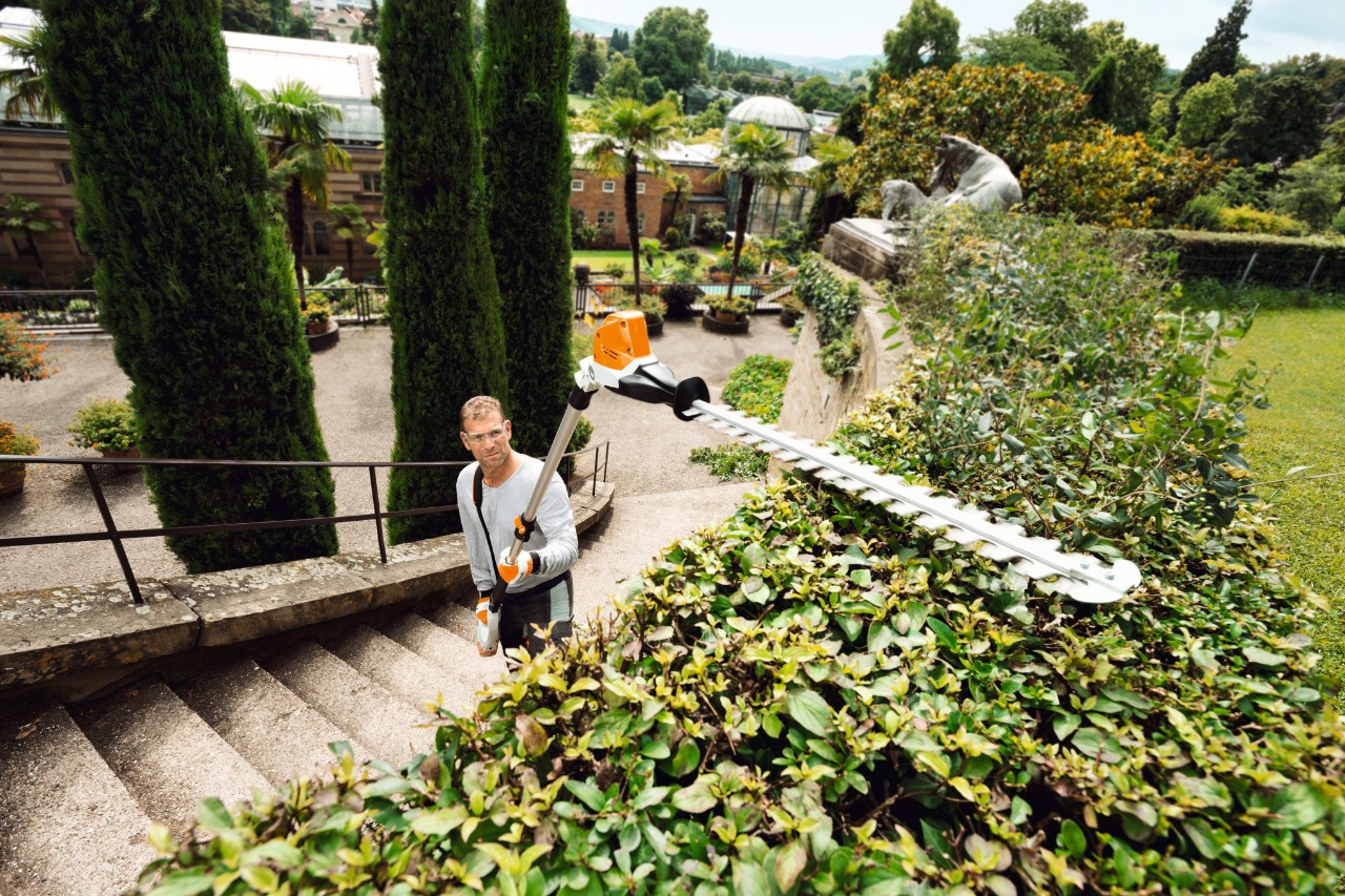 A man on a step pruning a tall hedge with the STIHL HLA 85 cordless long-reach hedge trimmer