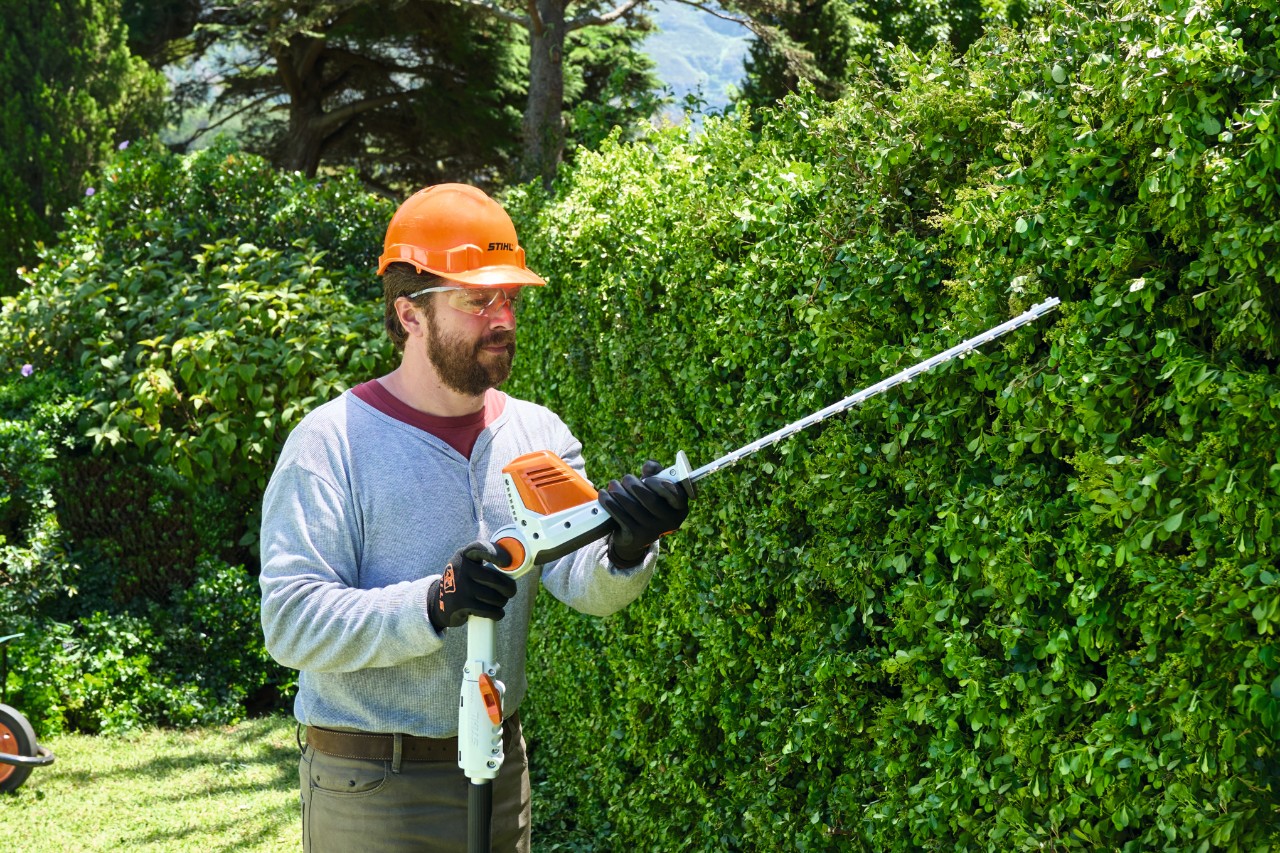 A man wearing protective equipment trimming a tall hedge with a STIHL HLA 56 cordless long-reach hedge trimmer