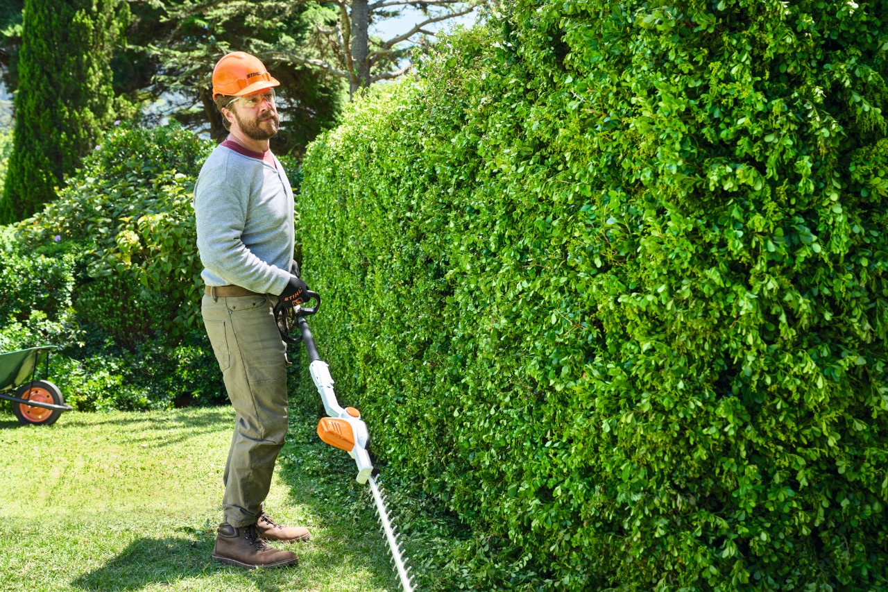 A man slowly walking along a hedge with the STIHL HLA 56 cordless long-reach hedge trimmer