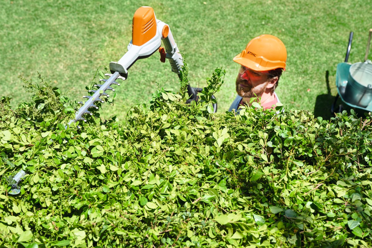An overhead view of a man wearing protective equipment cutting the top of a hedge with the STIHL HLA 56 cordless long-reach hedge trimmer 