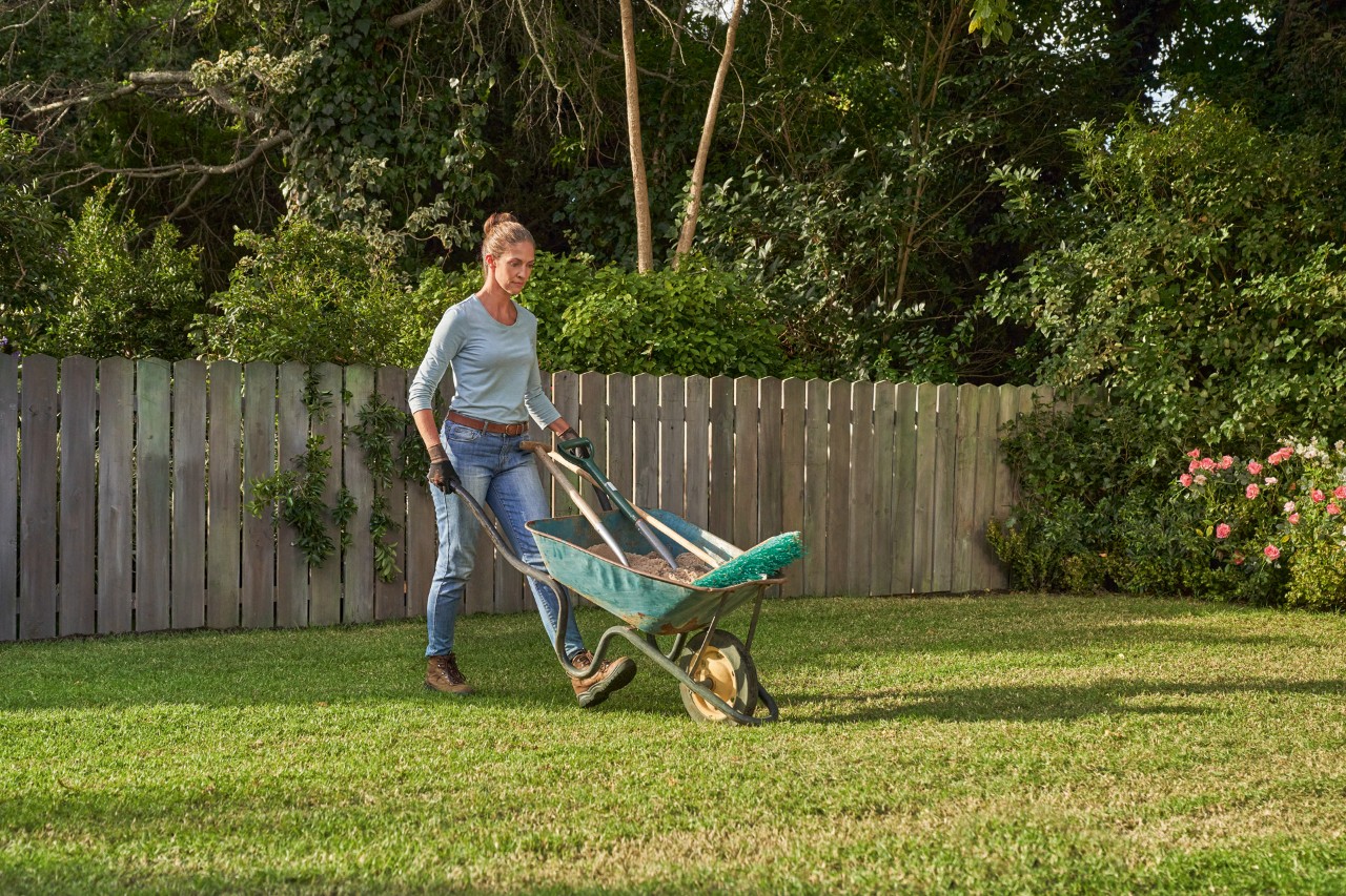 A woman pushing a wheelbarrow with garden tools to sand a lawn