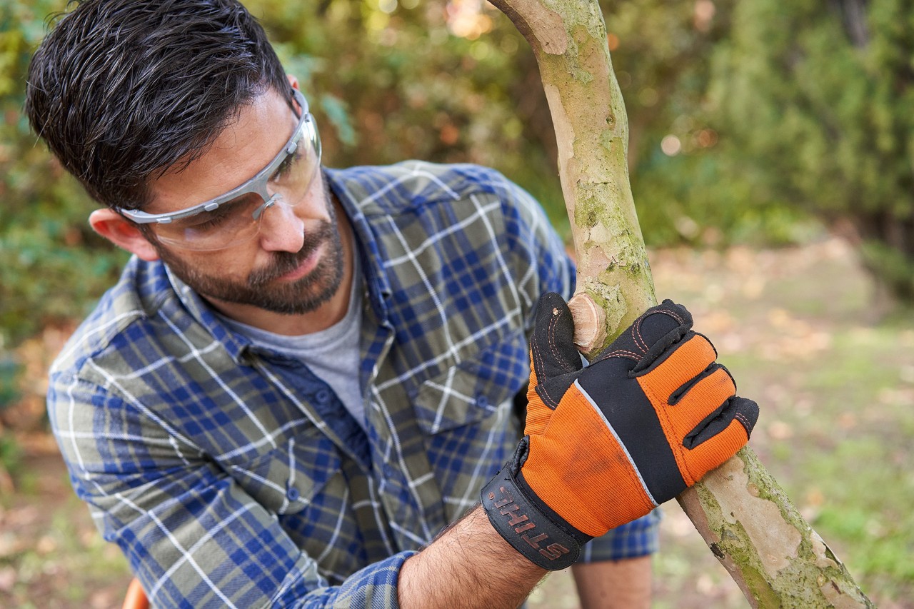 A man wearing STIHL protective gloves and safety glasses examining a branch in the garden.