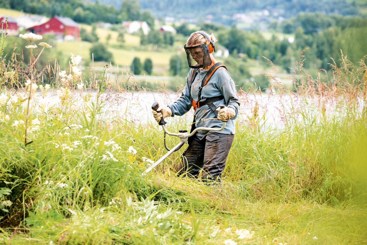 Safety considerations are key when using the STIHL FS 240 petrol brushcutter in long grass beside a lake.