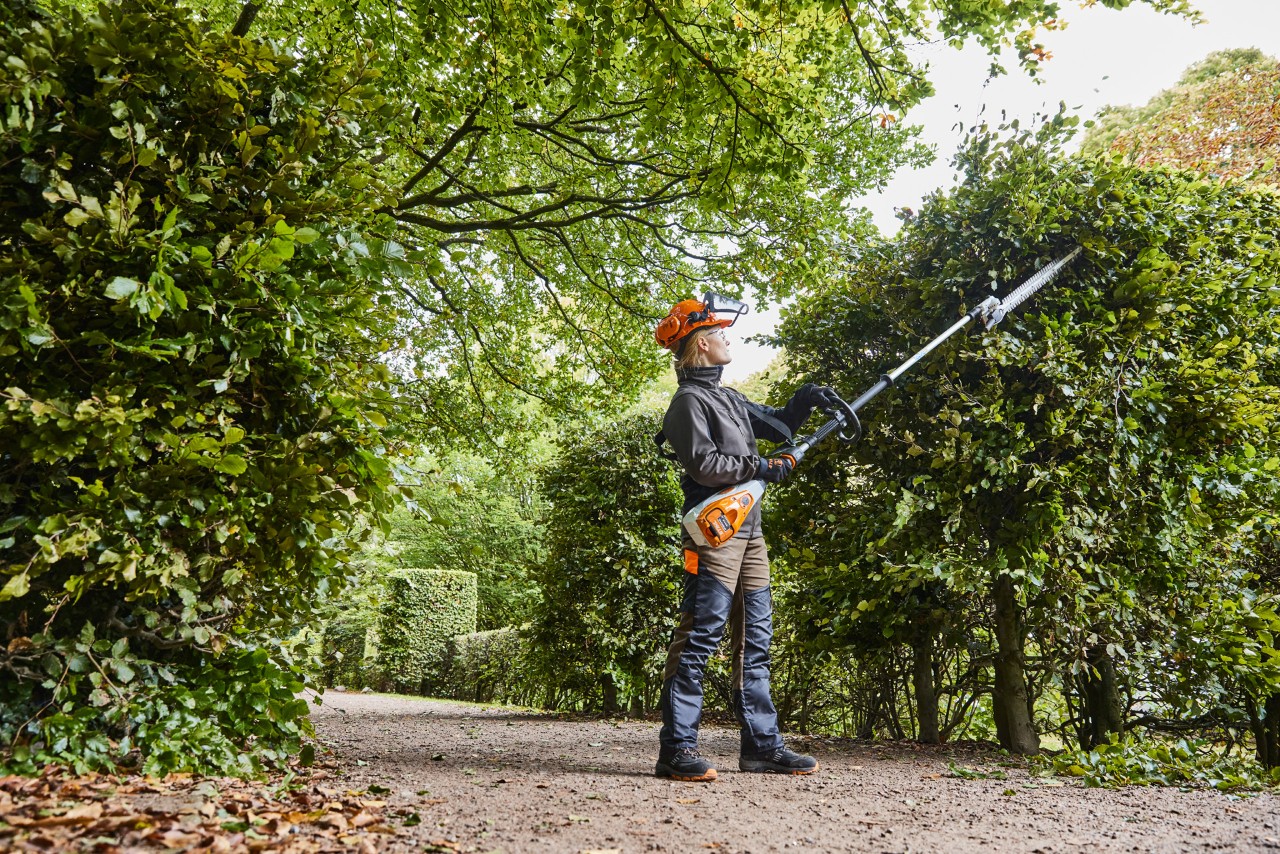 A gardener and landscaper pruning a hedge using a STIHL HLA 135 cordless long-reach hedge trimmer.